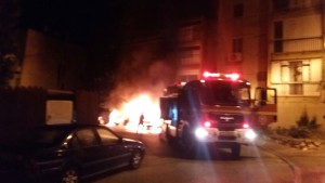 אחד הרכבים שעלה באש (צילום: איחוד הצלה)